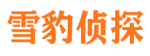 双柏市私家侦探